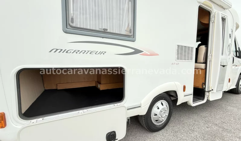 FLEURETTE MIGRATEUR 67 LD lleno