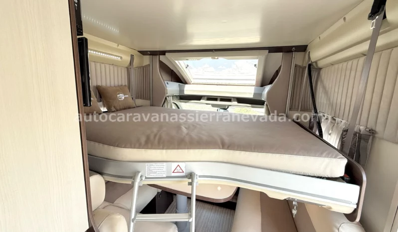 BENIMAR TESSORO 481 lleno