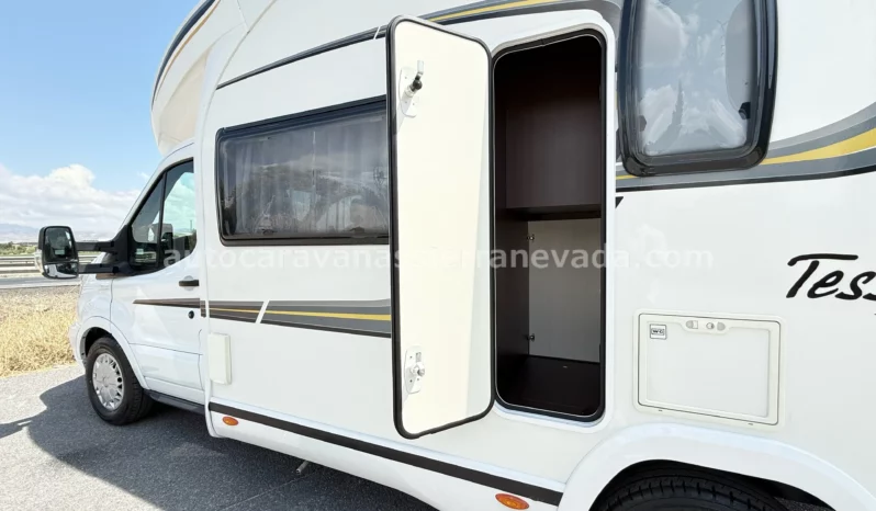 BENIMAR TESSORO 481 lleno