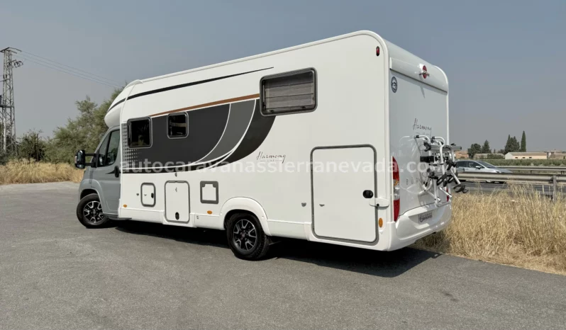 BURSTNER HARMONY LINE LYSEO 736 lleno