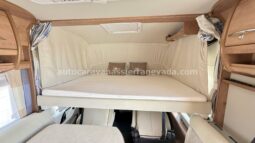 CARTHAGO Chic C-Line lleno