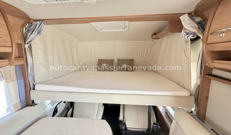 CARTHAGO Chic C-Line lleno