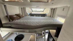 CHALLENGER 288EB QUARTZ lleno