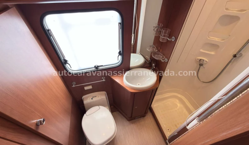 McLouis YEARLING SERIE LIMITEE 32 lleno