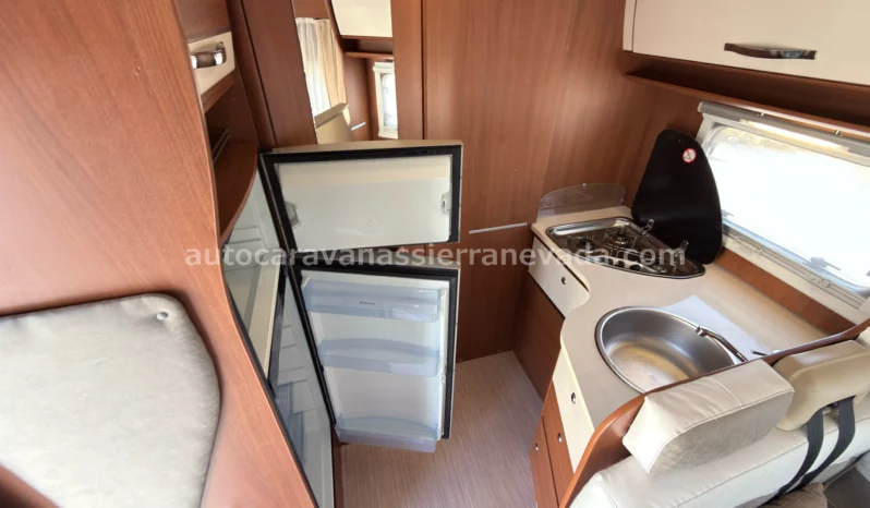 McLouis YEARLING SERIE LIMITEE 32 lleno