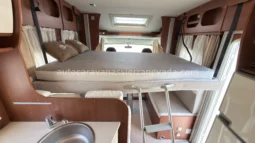 McLouis YEARLING SERIE LIMITEE 32 lleno