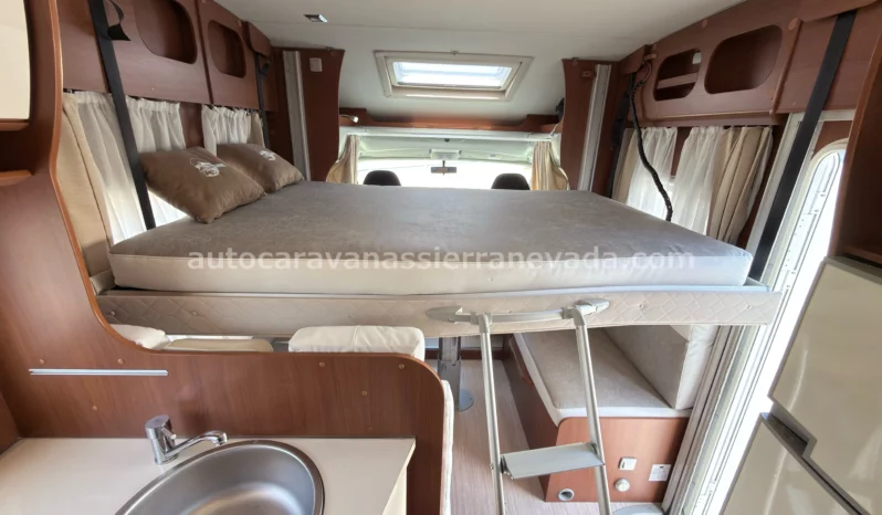 McLouis YEARLING SERIE LIMITEE 32 lleno