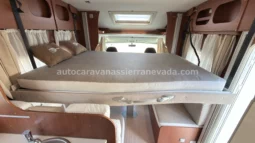 McLouis YEARLING SERIE LIMITEE 32 lleno