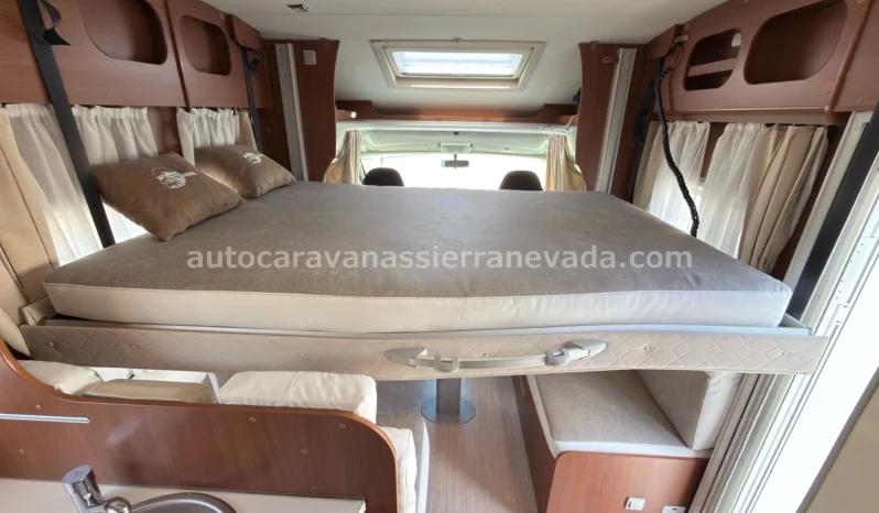 McLouis YEARLING SERIE LIMITEE 32 lleno