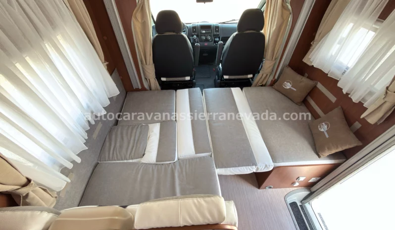 McLouis YEARLING SERIE LIMITEE 32 lleno