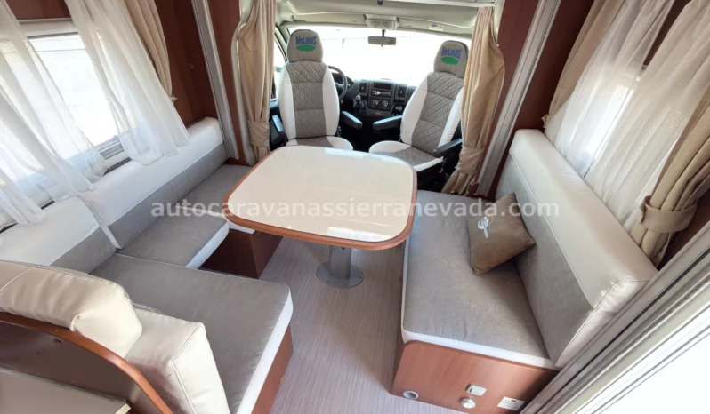 McLouis YEARLING SERIE LIMITEE 32 lleno