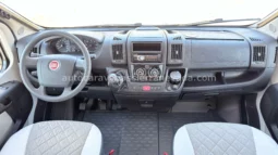 McLouis YEARLING SERIE LIMITEE 32 lleno