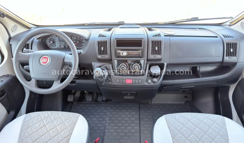 McLouis YEARLING SERIE LIMITEE 32 lleno