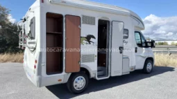 McLouis YEARLING SERIE LIMITEE 32 lleno