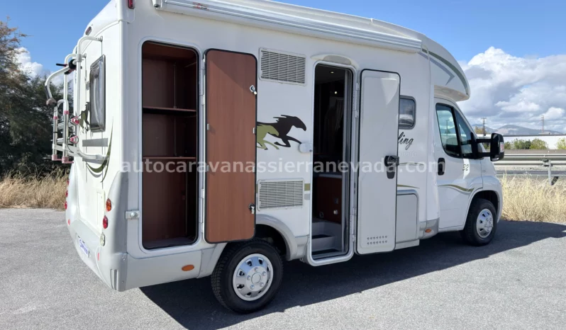 McLouis YEARLING SERIE LIMITEE 32 lleno