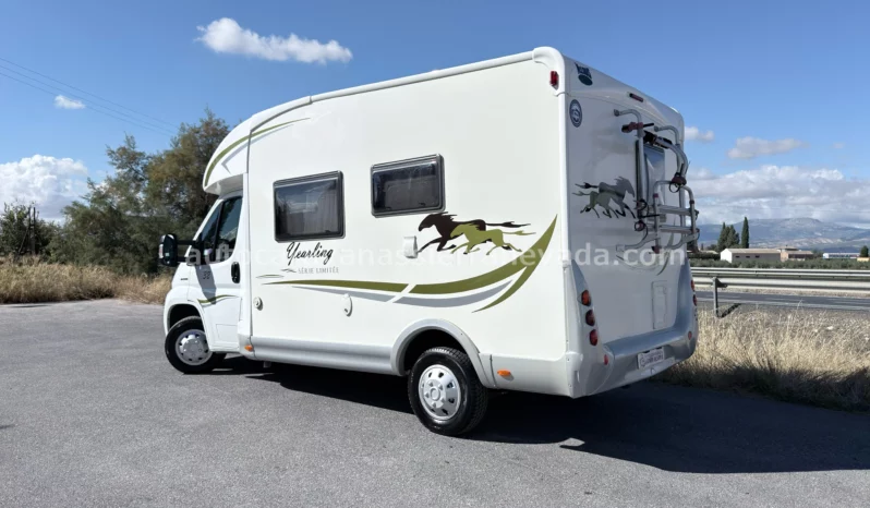 McLouis YEARLING SERIE LIMITEE 32 lleno