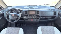 MCLOUIS NEVIS 872 lleno