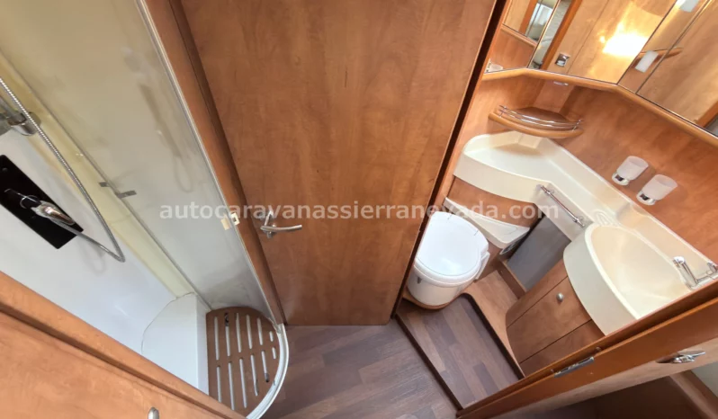 CARTHAGO CHIC C-LINE lleno