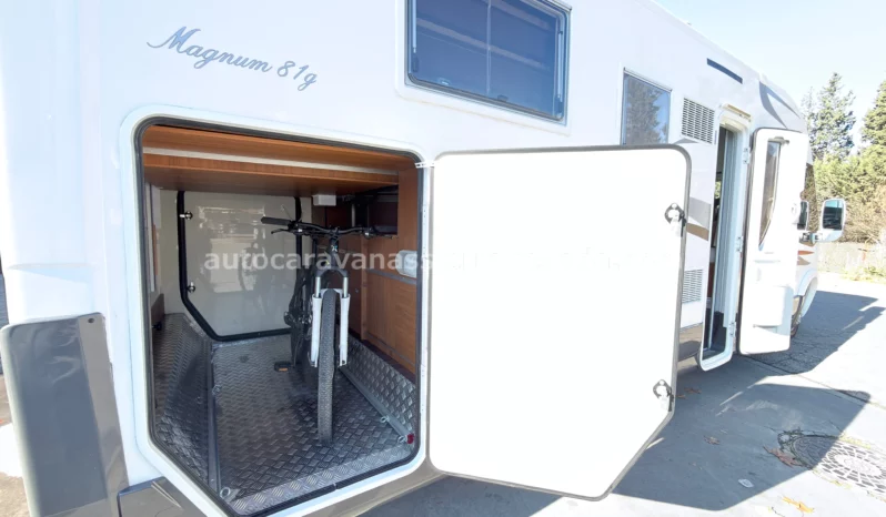 ELNAGH MAGNUM 81G V25/97 lleno