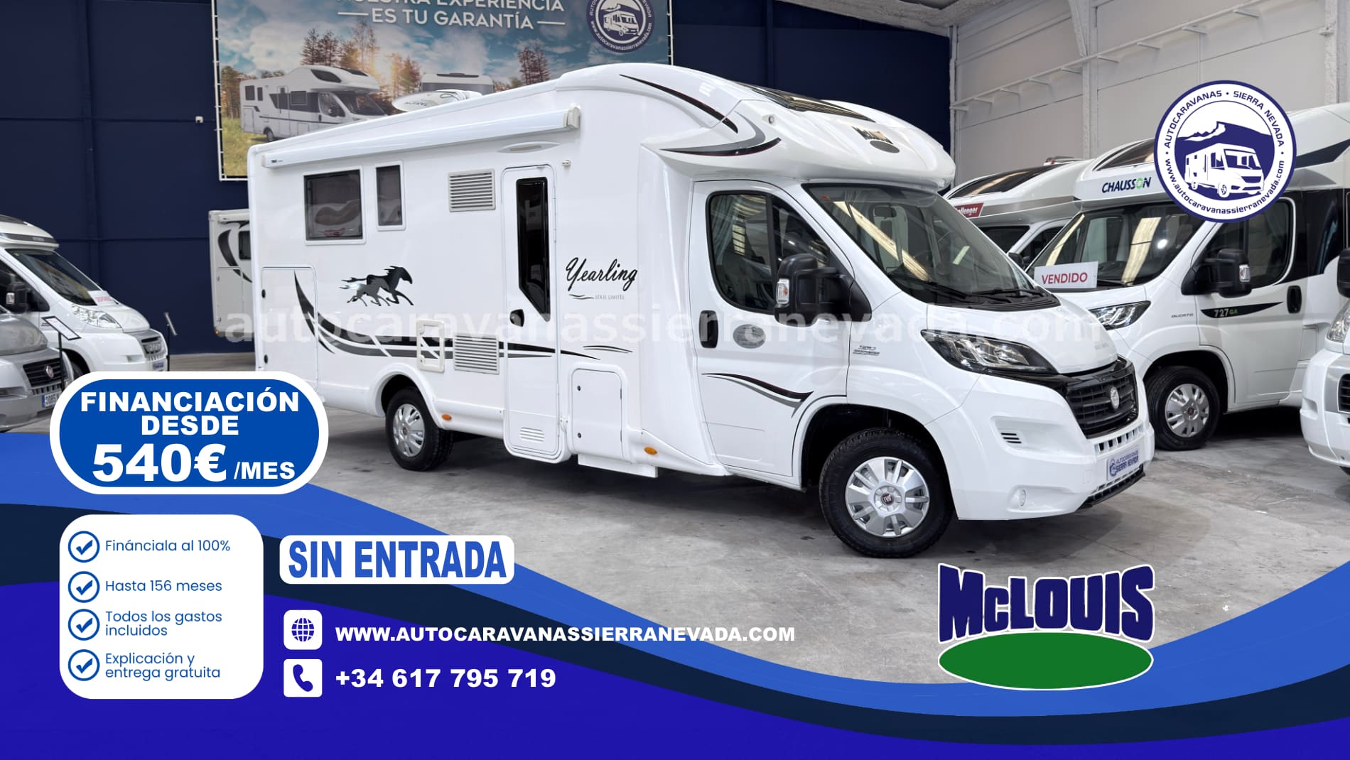 MCLOUIS YEARLINE 77G 25/101